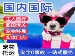 阳江合山航空运输国际宠物托运 【国